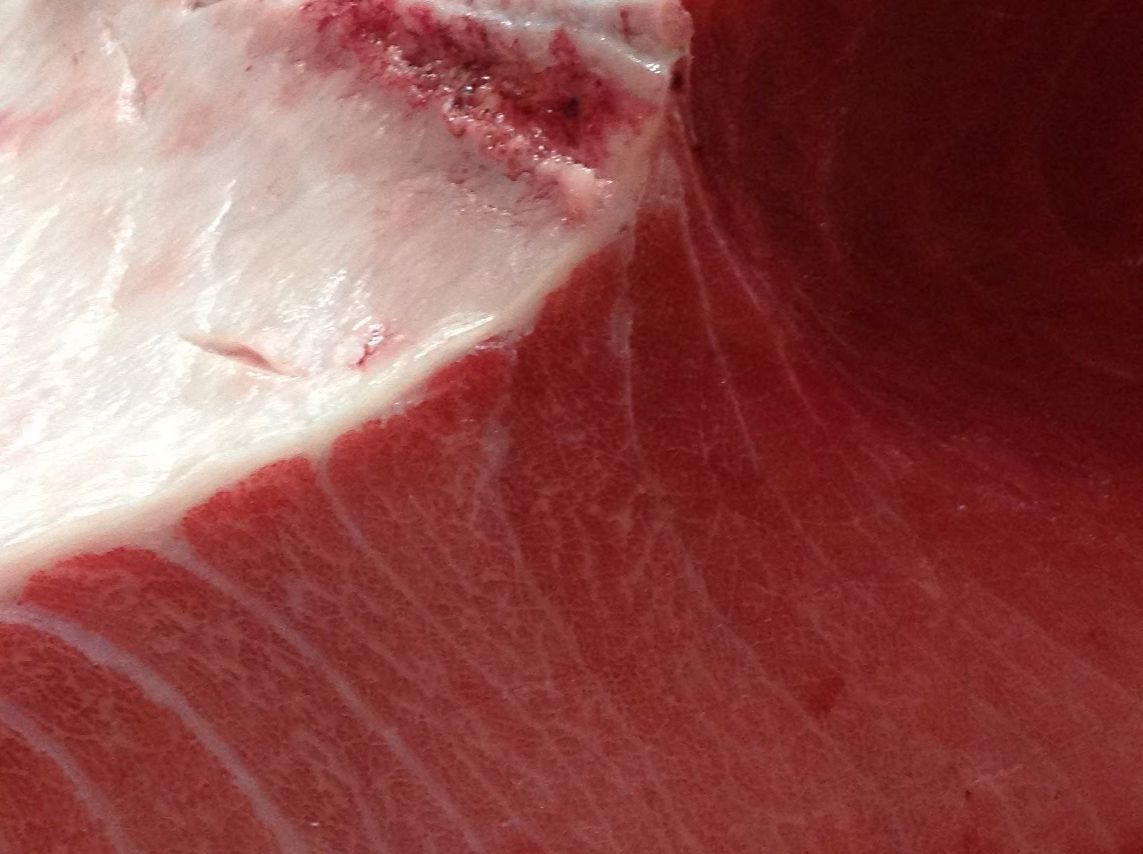 スライダー画像4